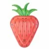 HO Sports Strawberry Float Tube 2023
